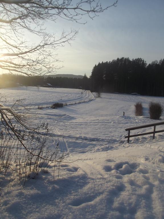 Vila Stuga Hult Hagfors Pokoj fotografie